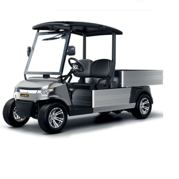 Pojazd elektryczny typu CARGO VELEX model CA500